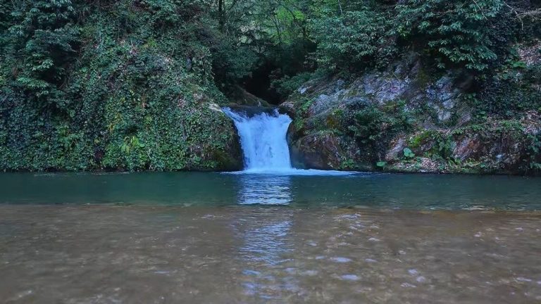 İstanbul’un yanı başındaki doğa harikası